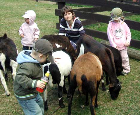 Ještě víc zvětšit kozy...